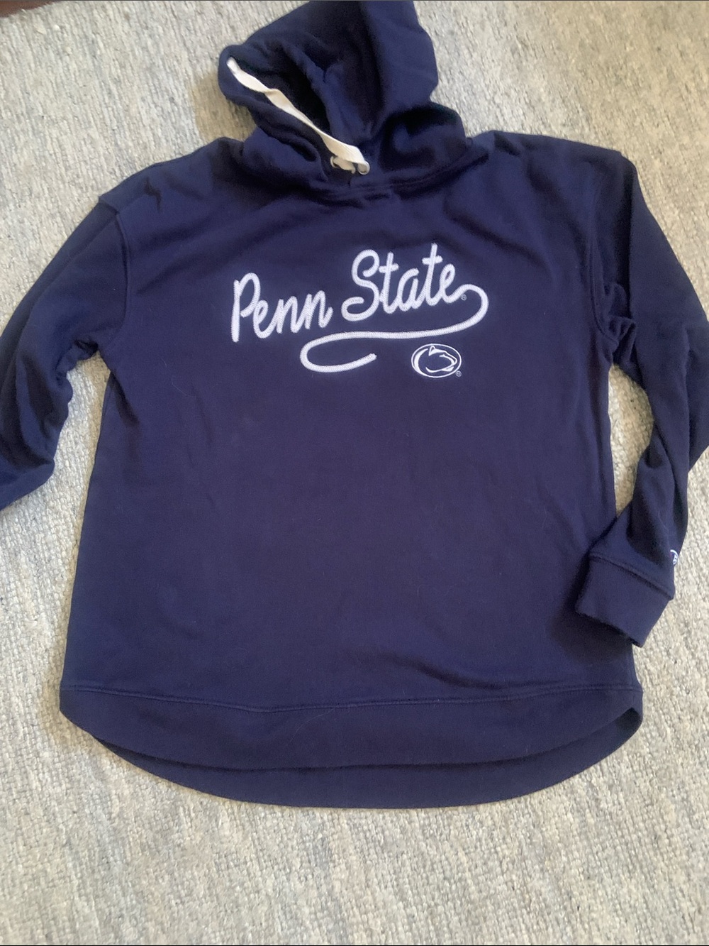 Champion Navy Blue Penn State Script Hoodie
